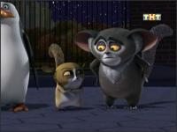 Пингвины из Мадагаскара - 2x45 - Закрутился с Боа