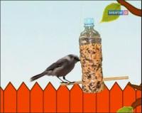 Забавная наука - 60 выпуск