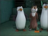 Пингвины из Мадагаскара - 2x11 - Мистер Смокинг