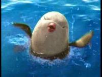 Приключения Дельфинёнка Муму - Тюленёнок