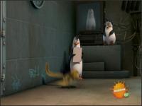 Пингвины из Мадагаскара - 09: На Двух Ногах и Выше