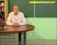 Какое ИЗОбразие! - Дикие художники